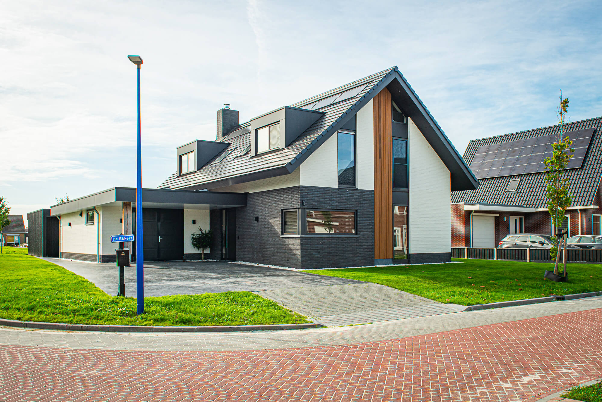 delf-1.jpg