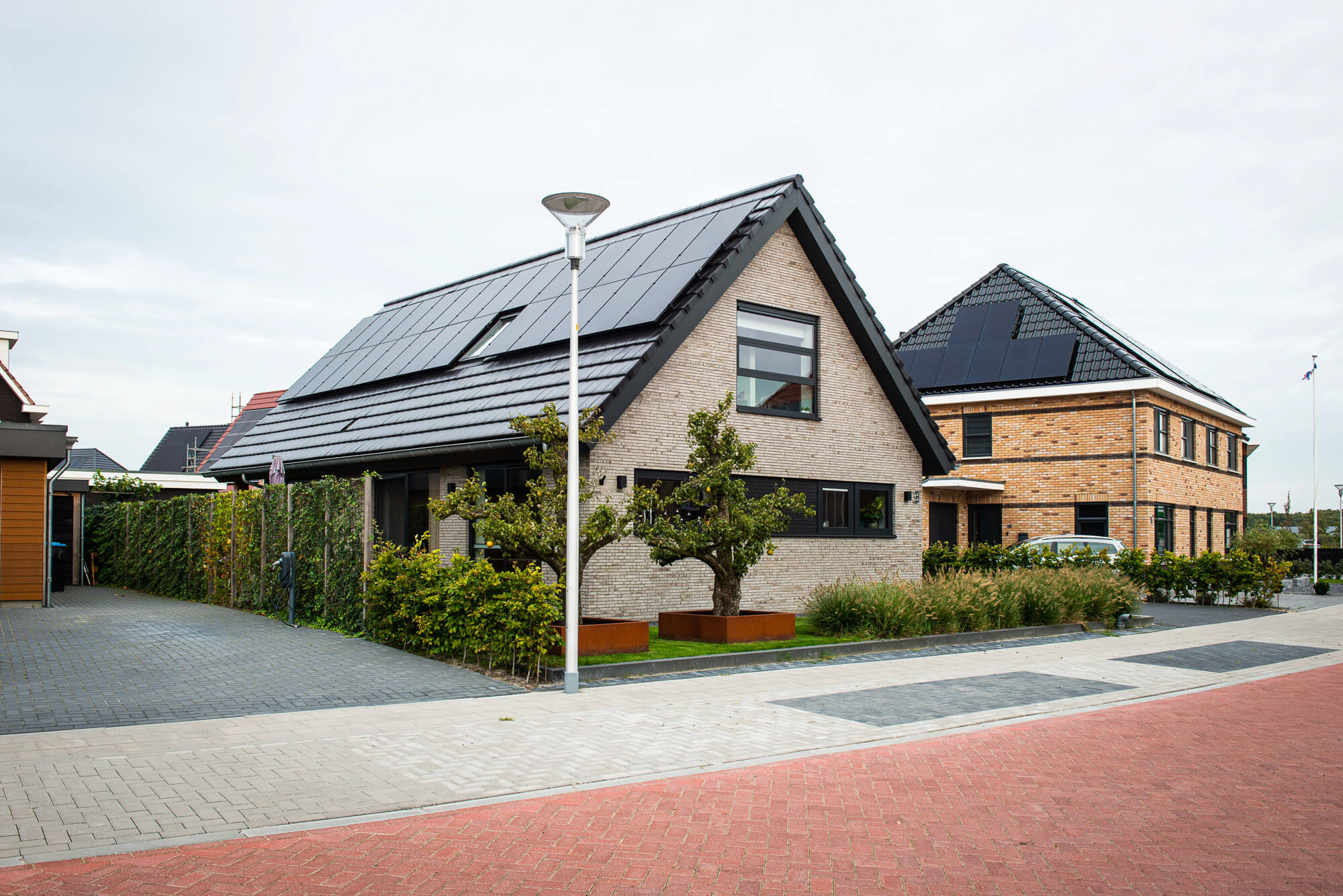 lemmer-1.jpg
