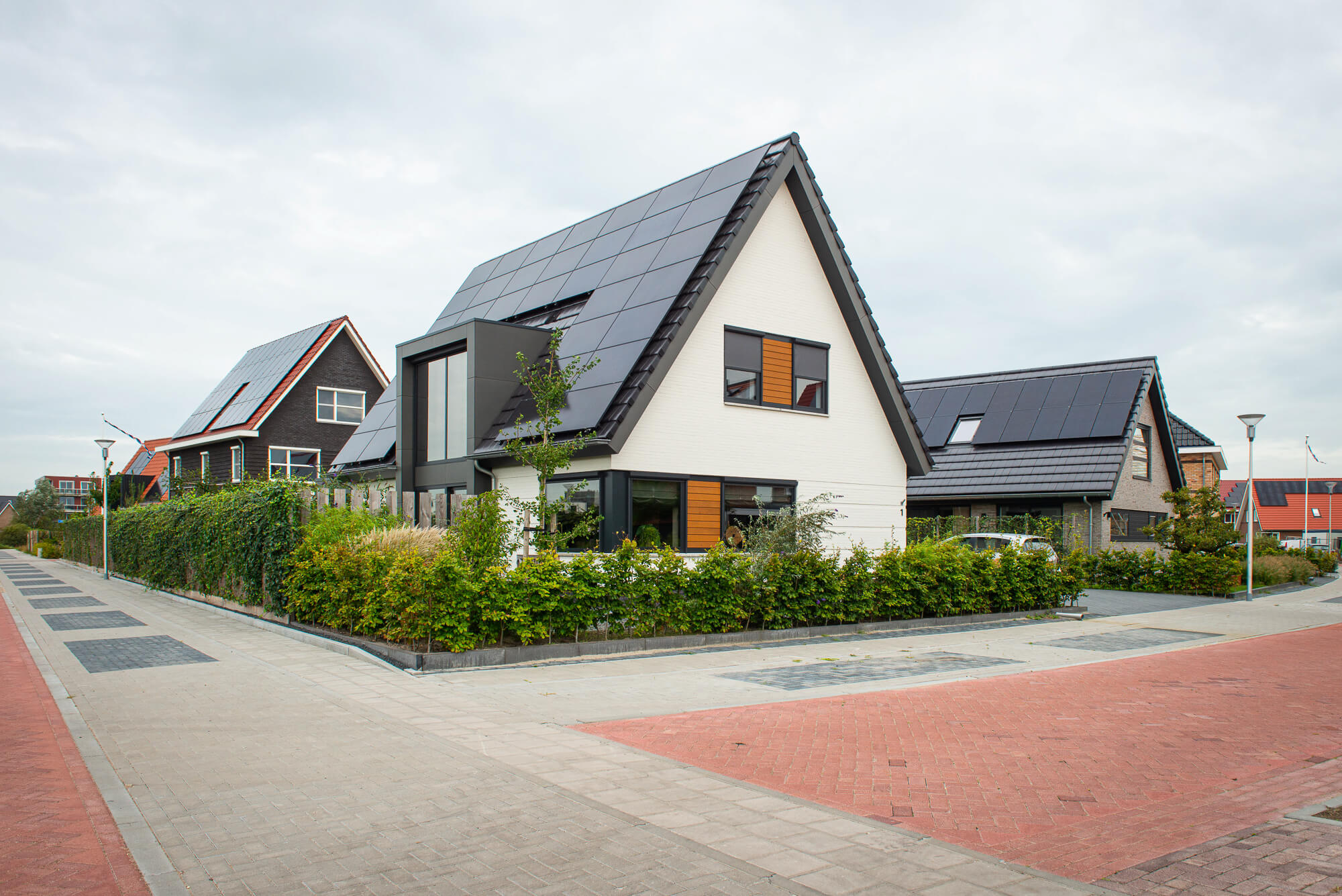 lemmer-1.jpg