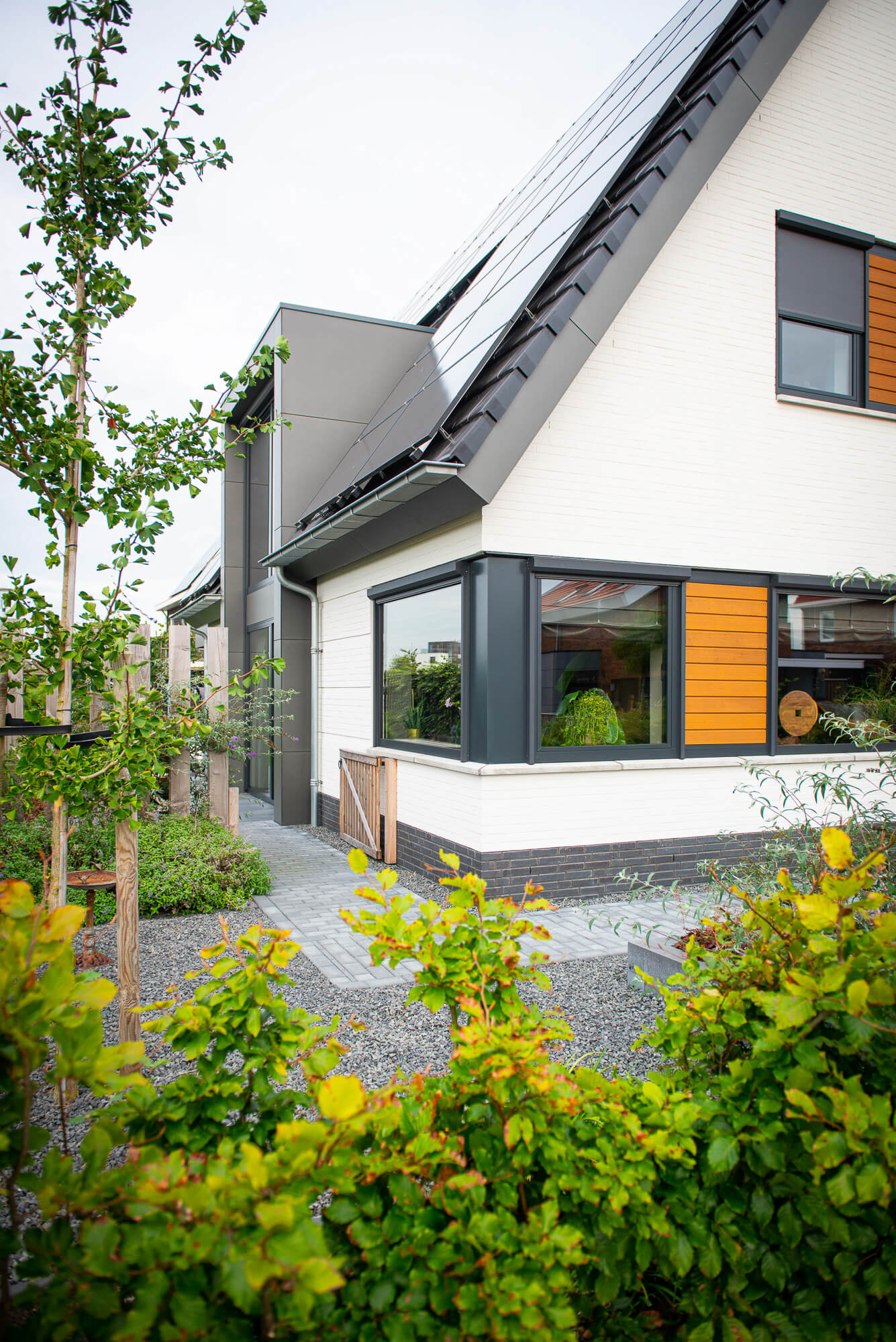lemmer-5.jpg